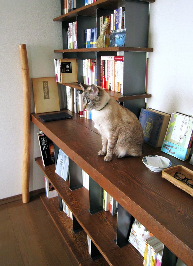 猫と暮らす古材本棚