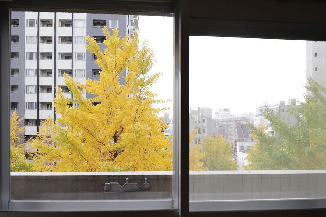窓から見える銀杏は、季節の移ろいにあわせて四季を感じさせてくれます。