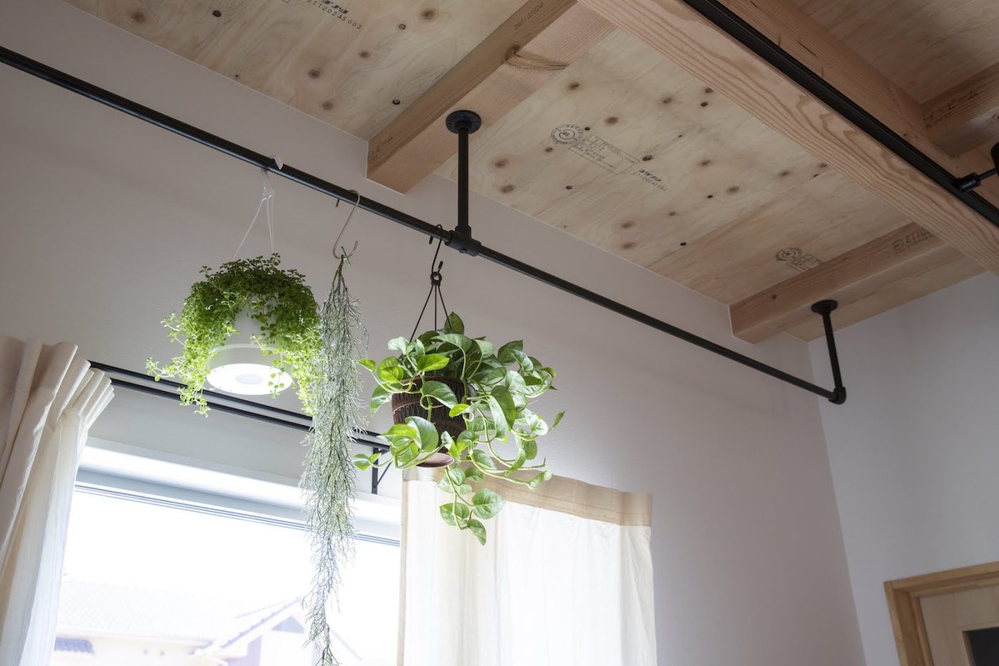 ハンガーパイプにグリーンや小物を吊るして飾れる、遊べる天井