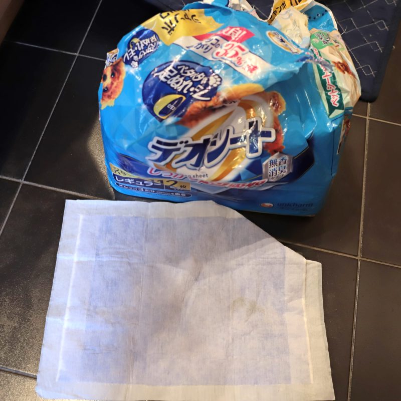 作業中の養生に給水シート（ペット用）