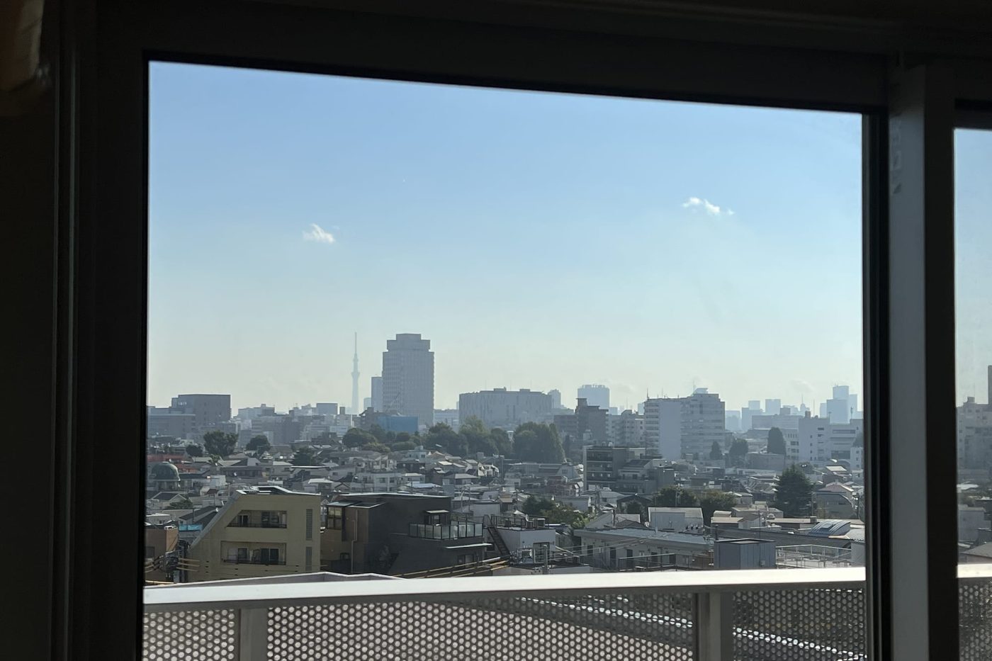 窓の外は抜群のビュー。この長所を楽しめる窓辺にしたいという気持ちもありました。