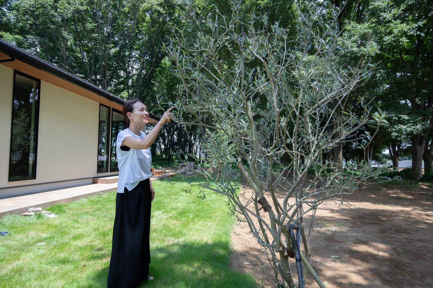 子どもが生まれた年に植えたオリーブの木。「もう7年経ったのか。大きくなったな〜」としみじみ。