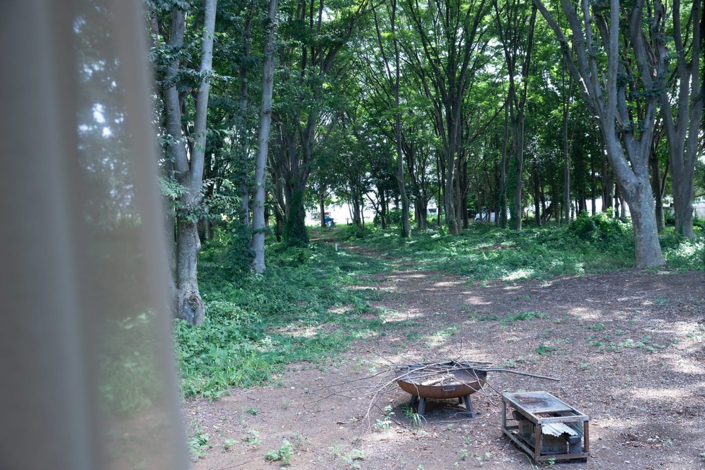 林の中から枝を拾ってきて、気軽に焚き火やBBQを楽しんでいるそう。
