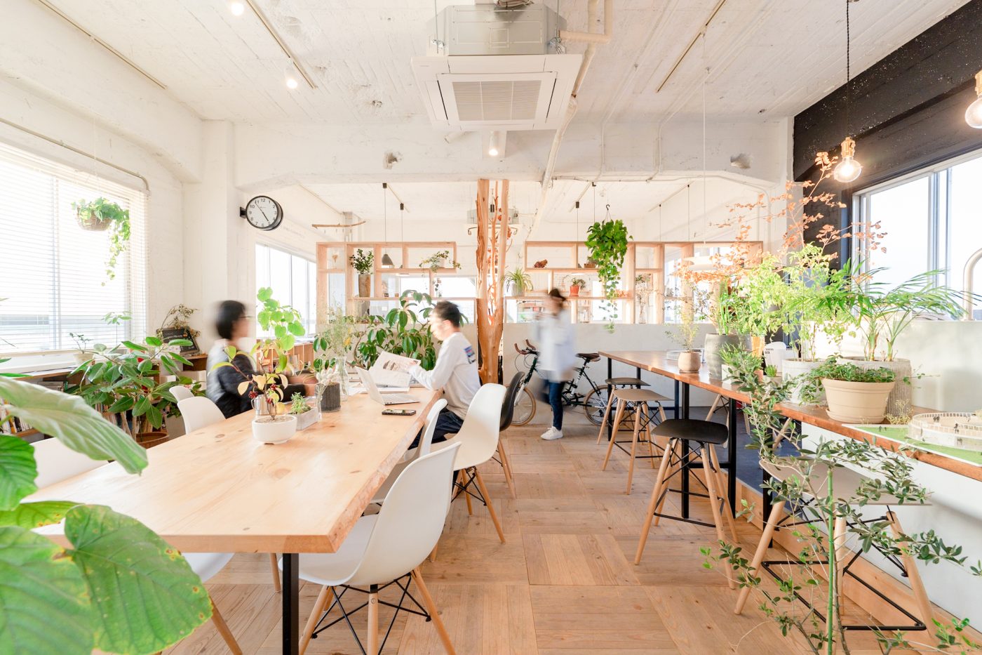 こちらが、今回ご紹介するgreen建築工房のオフィス。