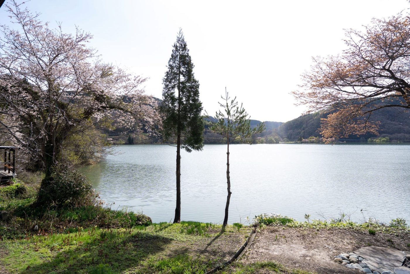 自然にひらき、地域とつながる宿。針葉樹合板でできた余白のある空間4