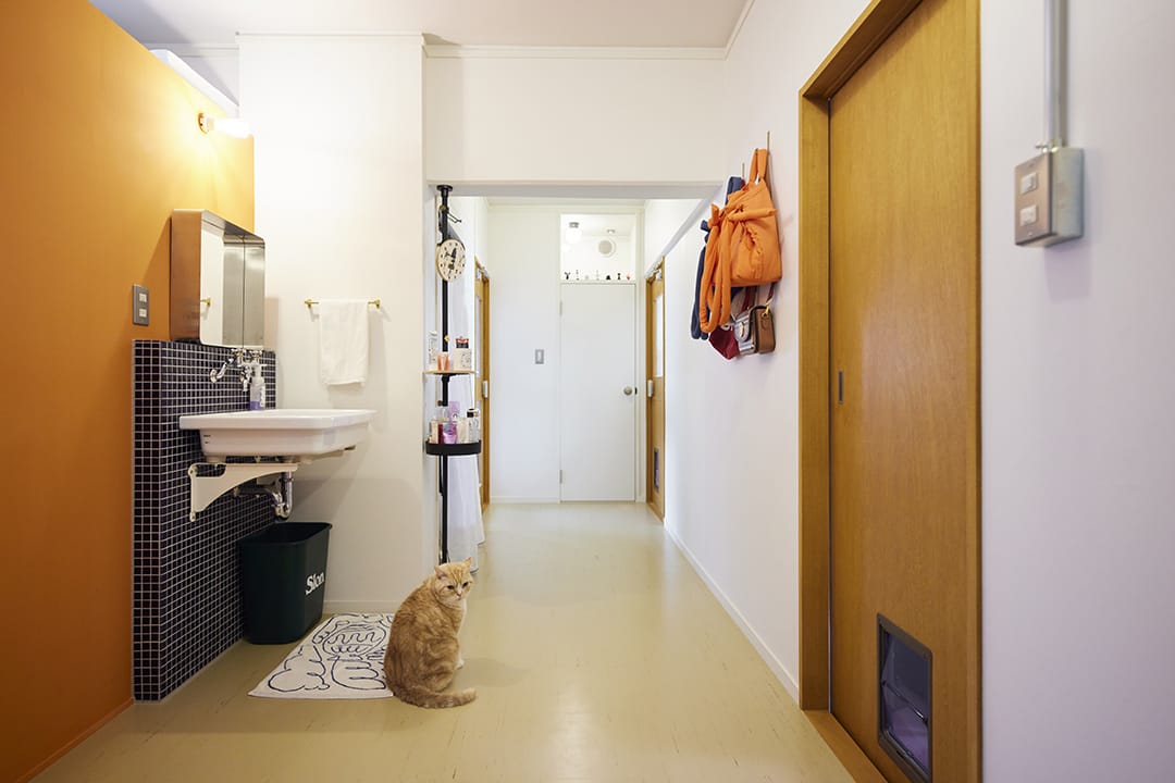 玄関から入ると、奥のトイレのドアの上に、ずらっとミニチュアが見えるんですよ！(撮影：坂下　丈太郎)