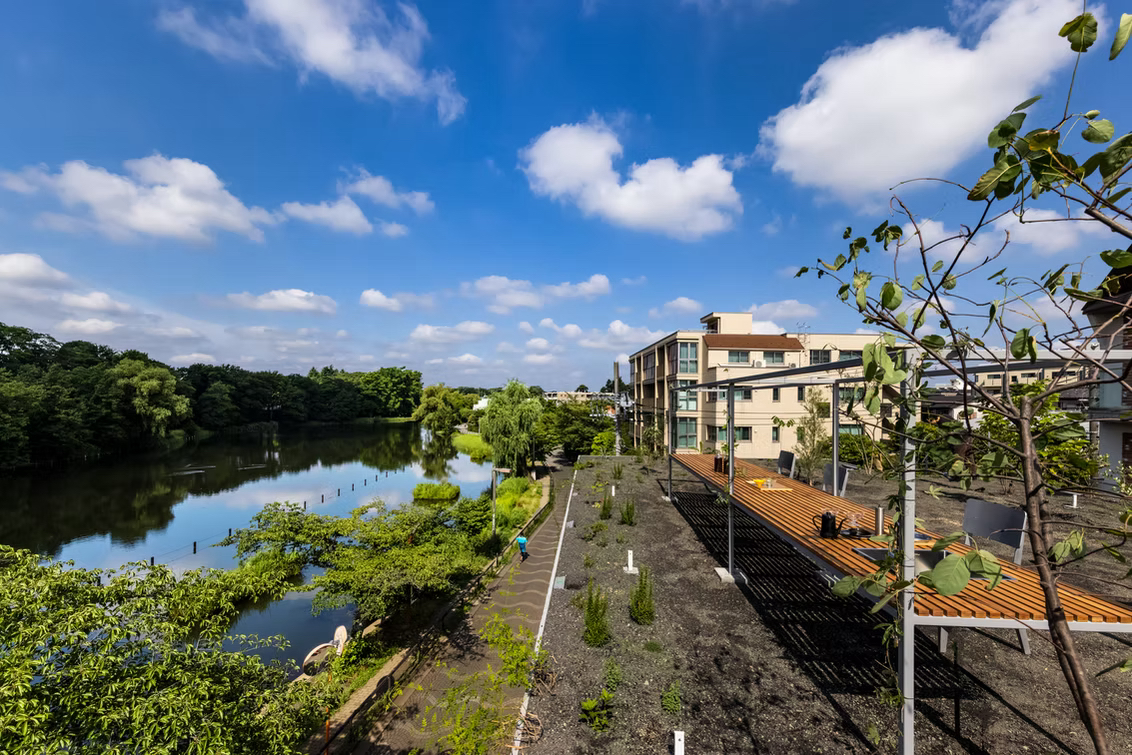 植物が自生する屋上にはテーブルと椅子が置かれ、公園を眺めながらゆったり過ごすことができるようになっている。（写真提供：浜田昌樹 / kkpo）