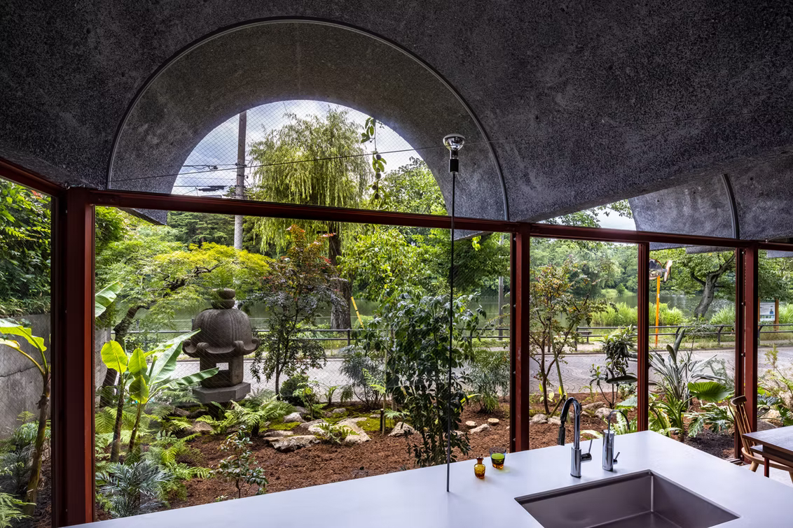 普通は地植えしない観葉植物も、驚くほど健やかに育っています。（写真提供：浜田昌樹 / kkpo）