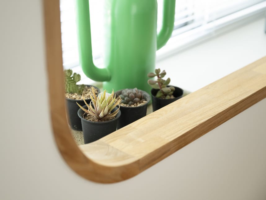 壁をふかすことで生まれた、植物たちが日向ぼっこできるサンルーム。