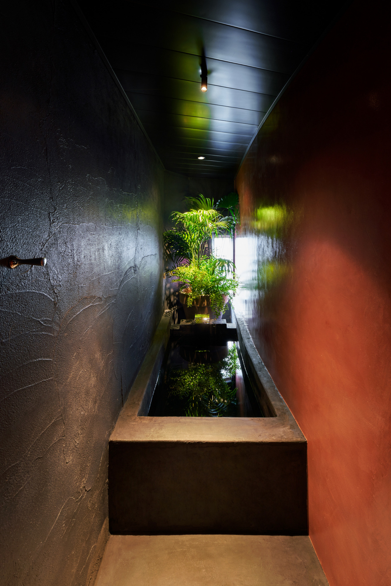 撮影:Tsubasa Kuroiwa