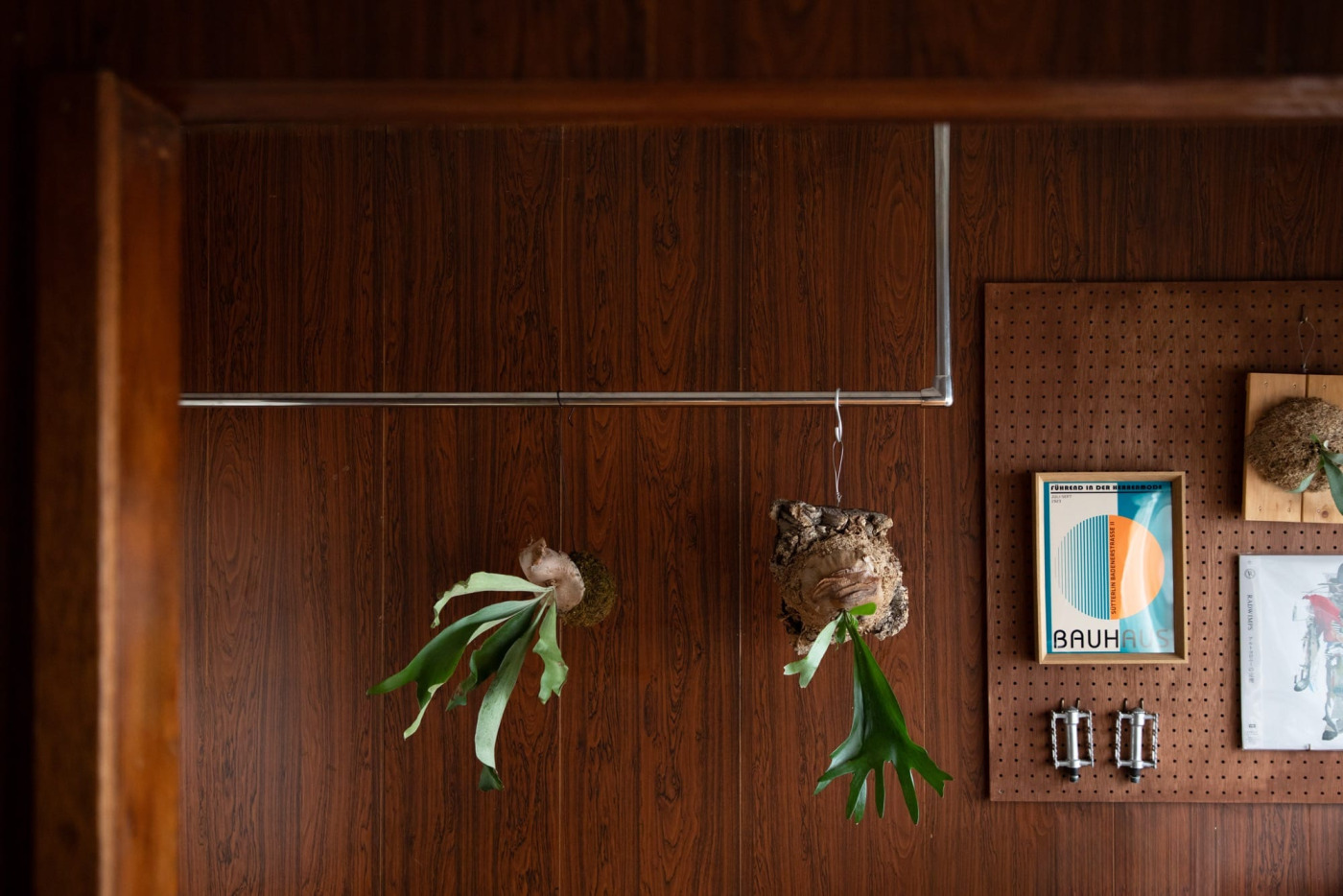 メタルラインが、まるで植物たちのステージのように空間を演出する。