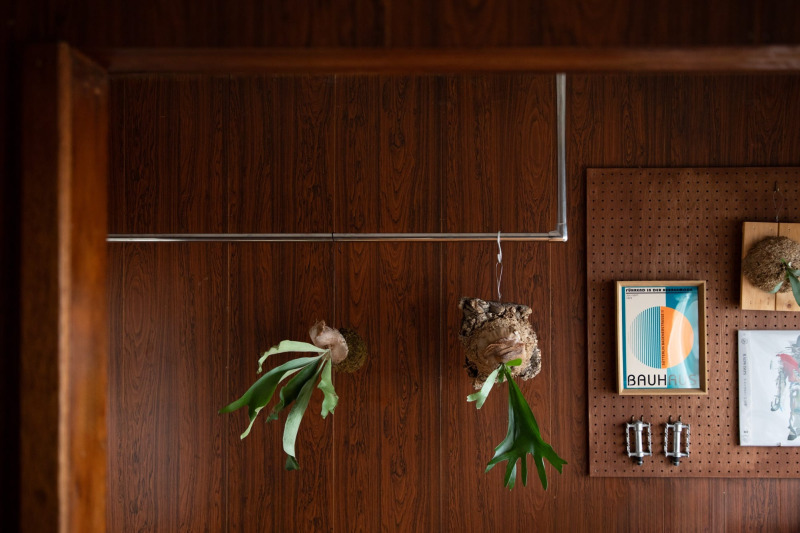 メタルラインが、まるで植物たちのステージのように空間を演出する。
