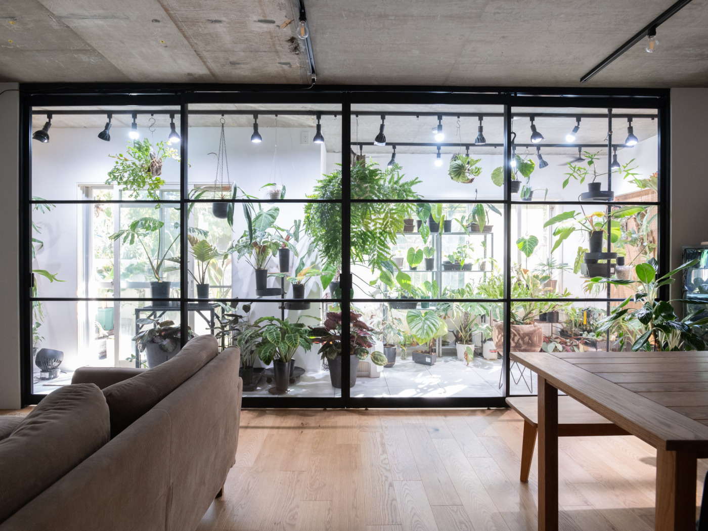 “植物の特等席”と、土間で隔てられた“離れ”。120㎡ならではの空間切り分け術