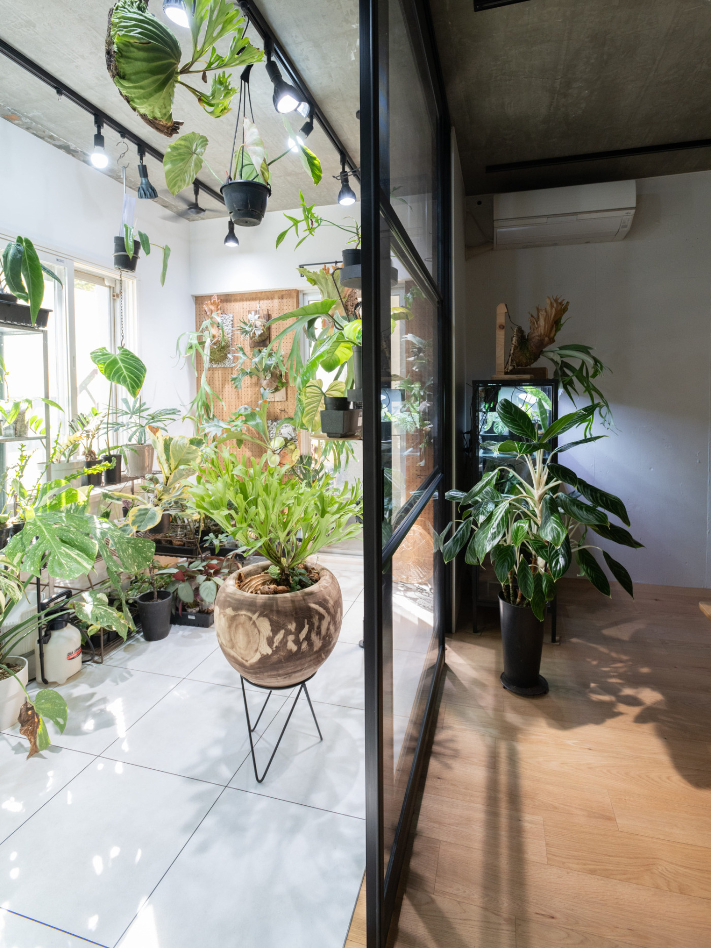 “植物の特等席”と、土間で隔てられた“離れ”。120㎡ならではの空間切り分け術1