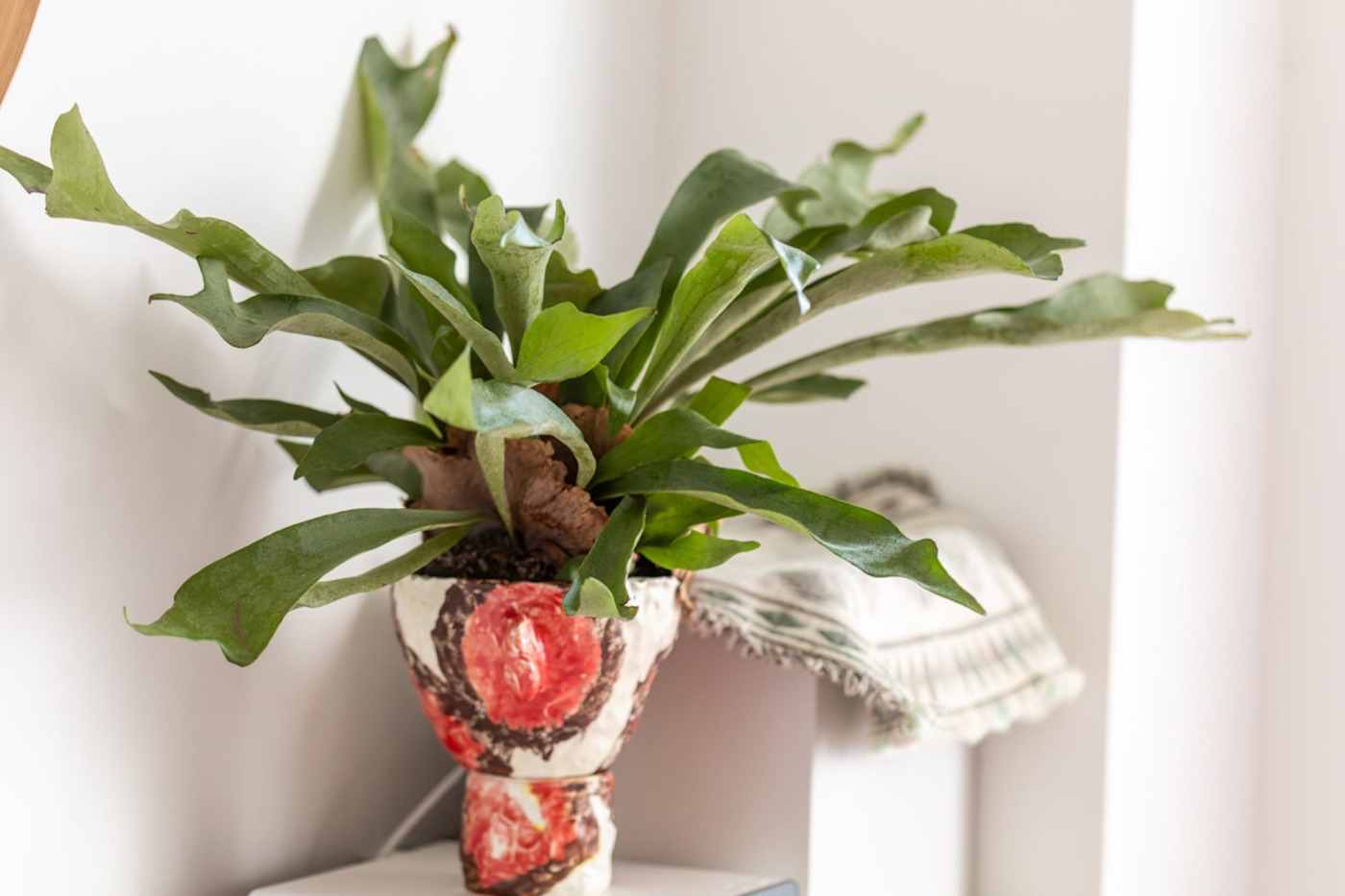 3回目の家づくりは戸建てリノベ！日当たり不足を克服する、イエローの吹き抜け階段がある家27