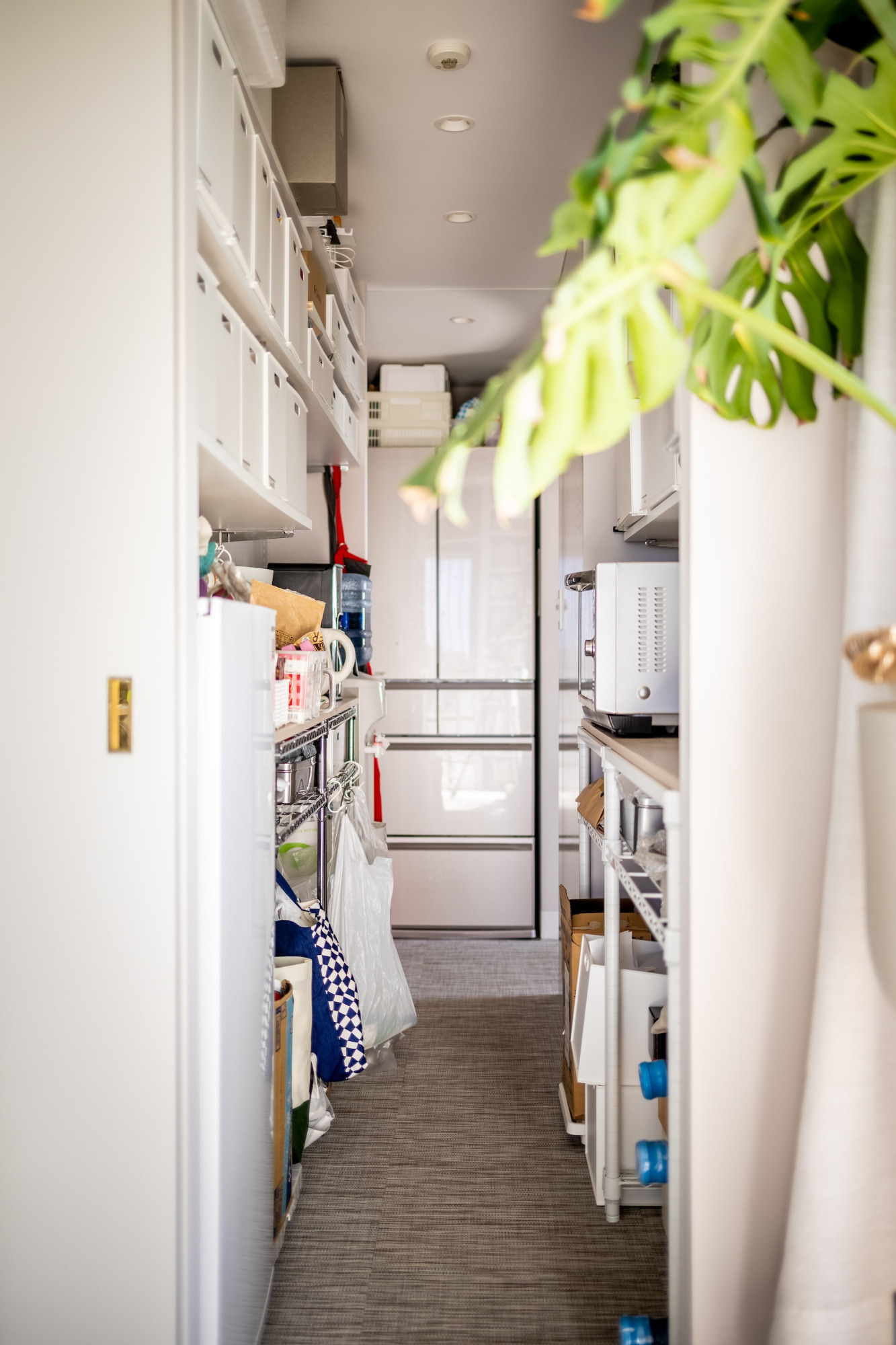 「私たちに個室はいらない」。愛犬と暮らす姉妹が100㎡のマンションでたどり着いた、自分たちの“最適解”21