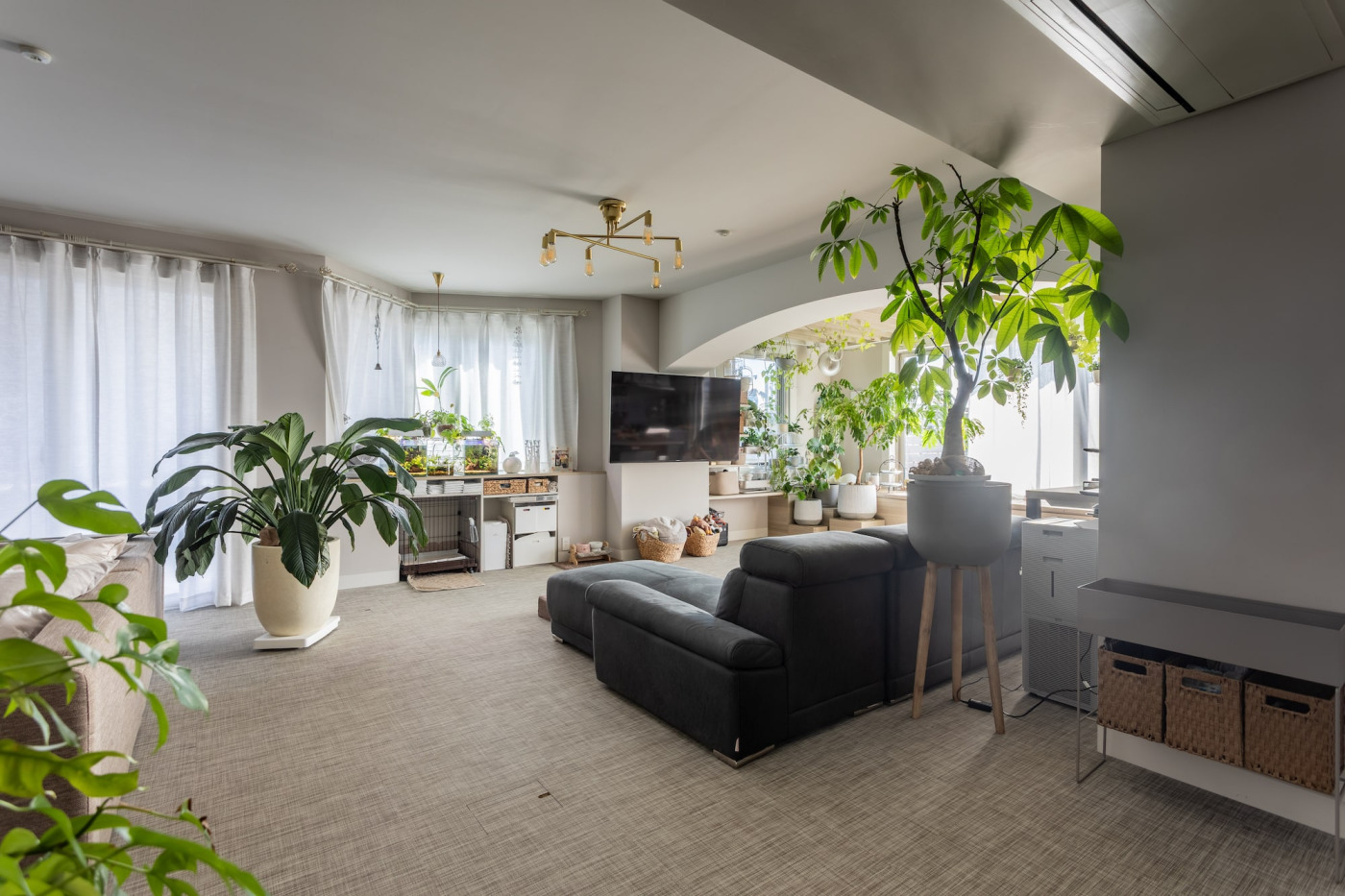 「私たちに個室はいらない」。愛犬と暮らす姉妹が100㎡のマンションでたどり着いた、自分たちの“最適解”33