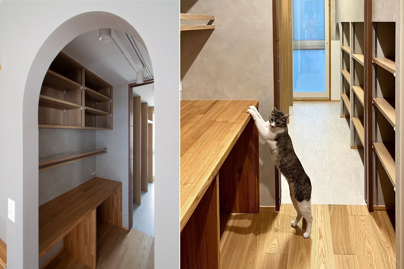 デスクの背面にも可動棚を設けて。猫ちゃんも使い心地を念入りにチェック中。