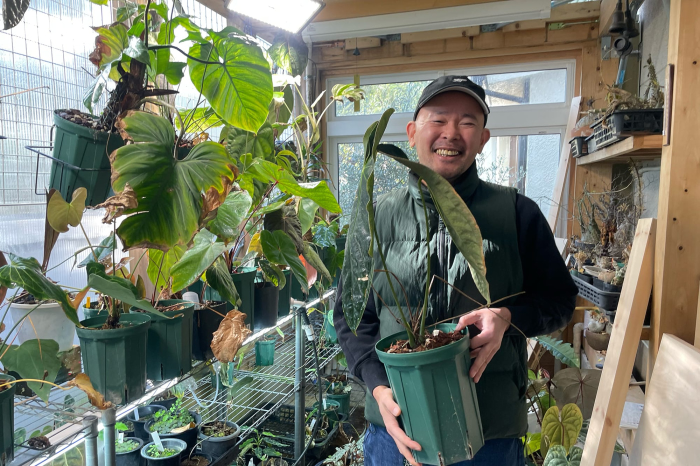 オーディオの前にグリーンにものめり込んだ自分。温室をつくって交配したり。色々やってます（笑）。