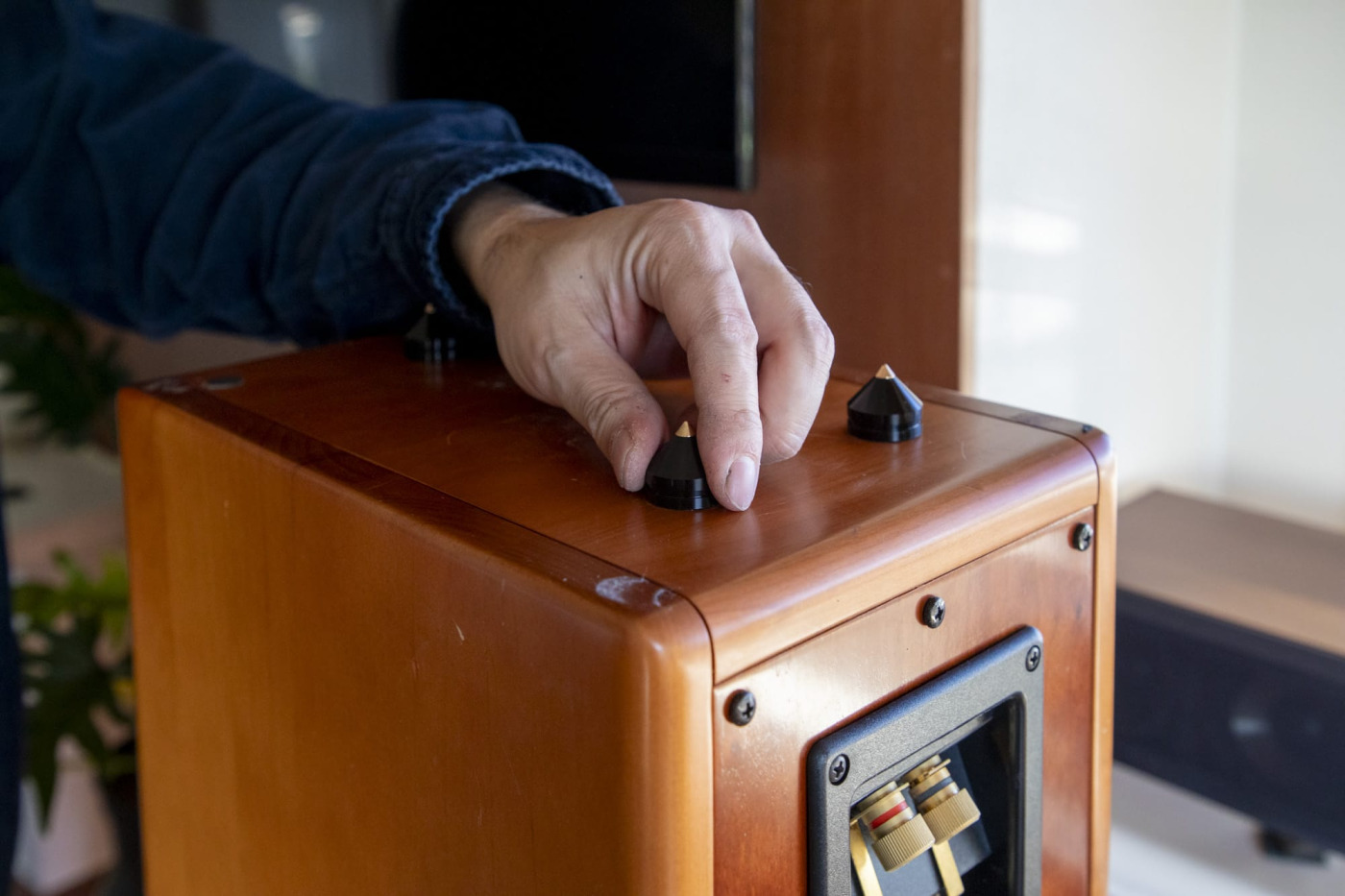 「オーディオ　スパイク」で検索を。アマゾンで1個200円くらいで手に入ります。これは8個入りのもの。