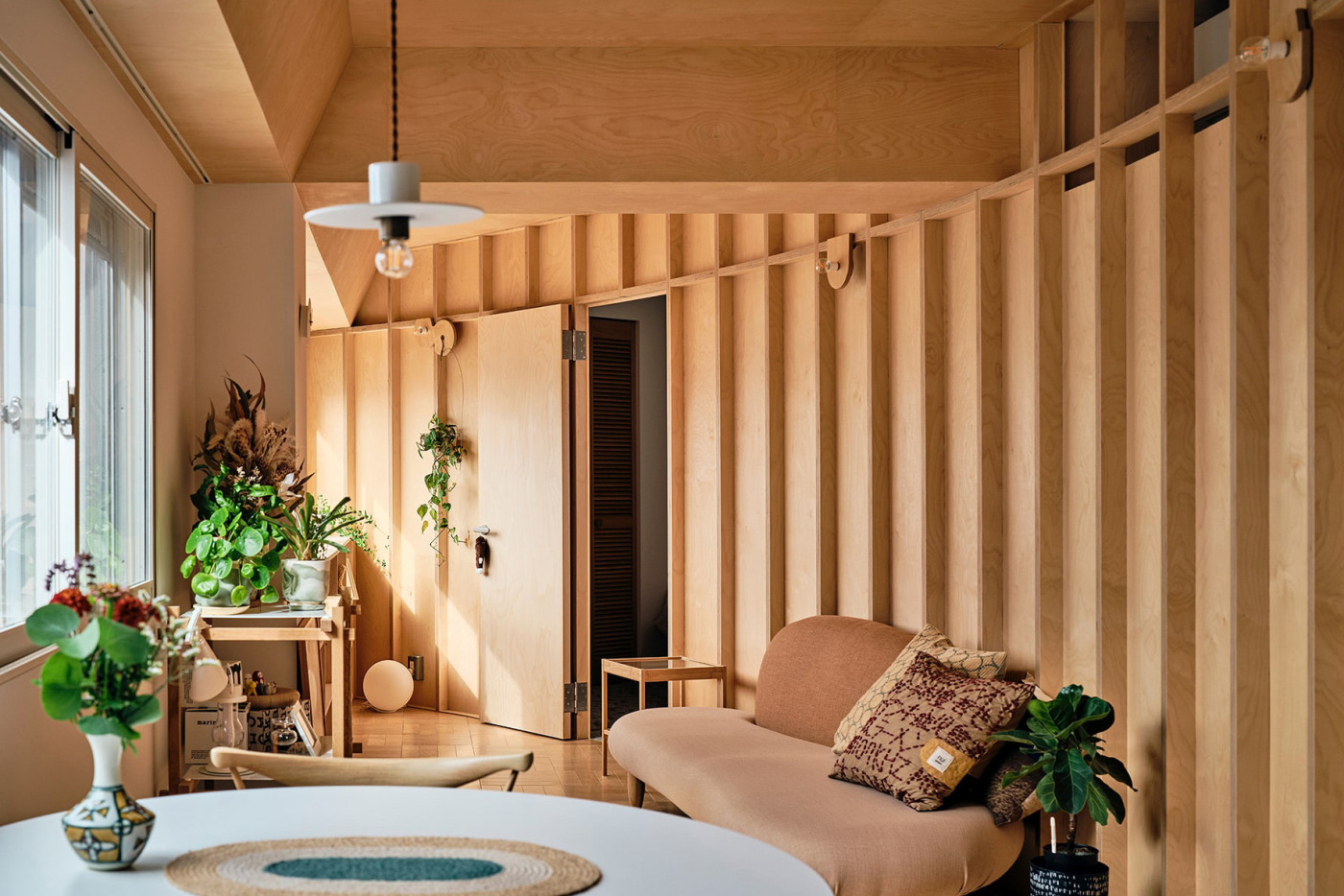Renovation of new wild／a.d.p 
