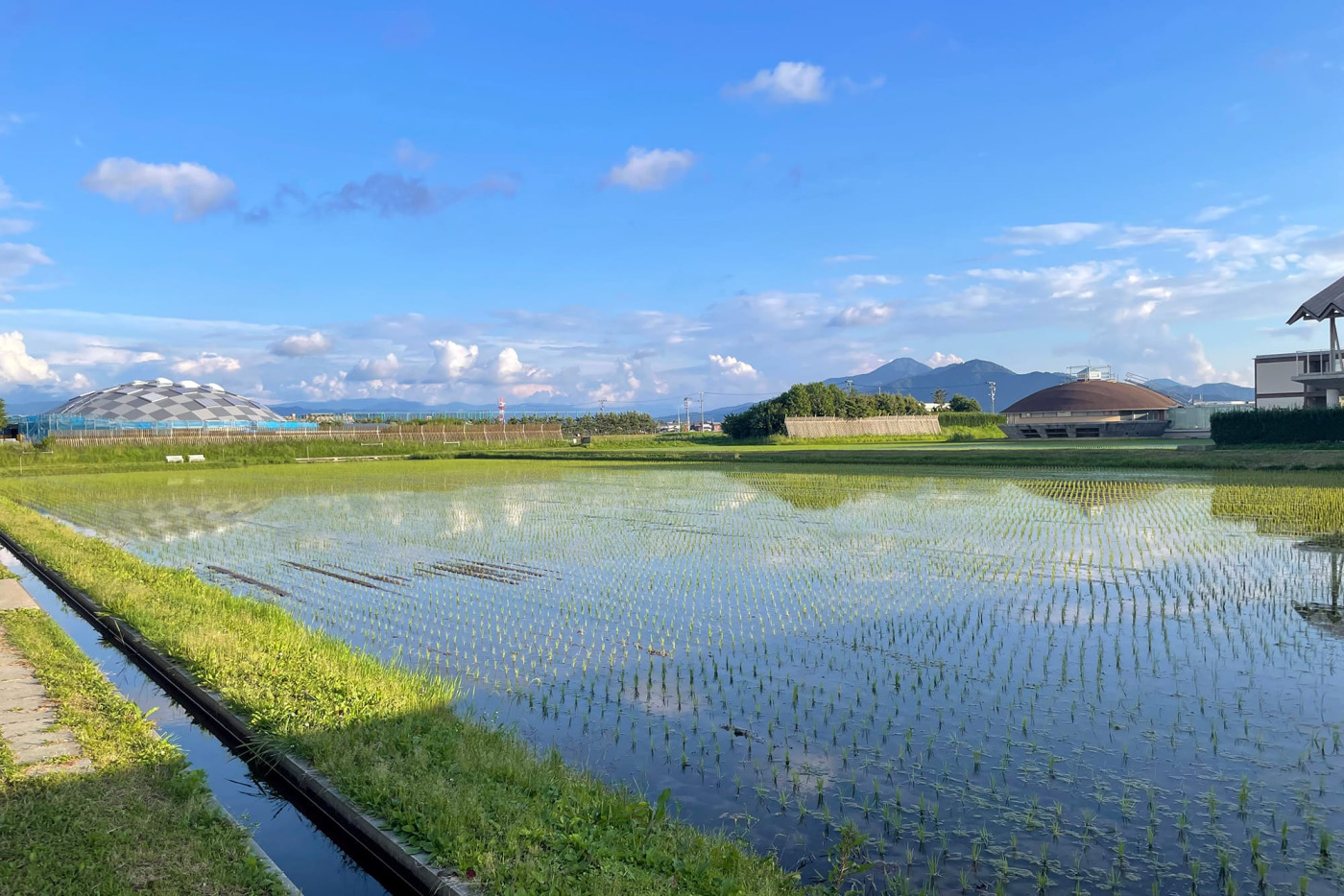 ちょうど田植えが終わり、田んぼの水鏡が綺麗な時期にお邪魔しました。