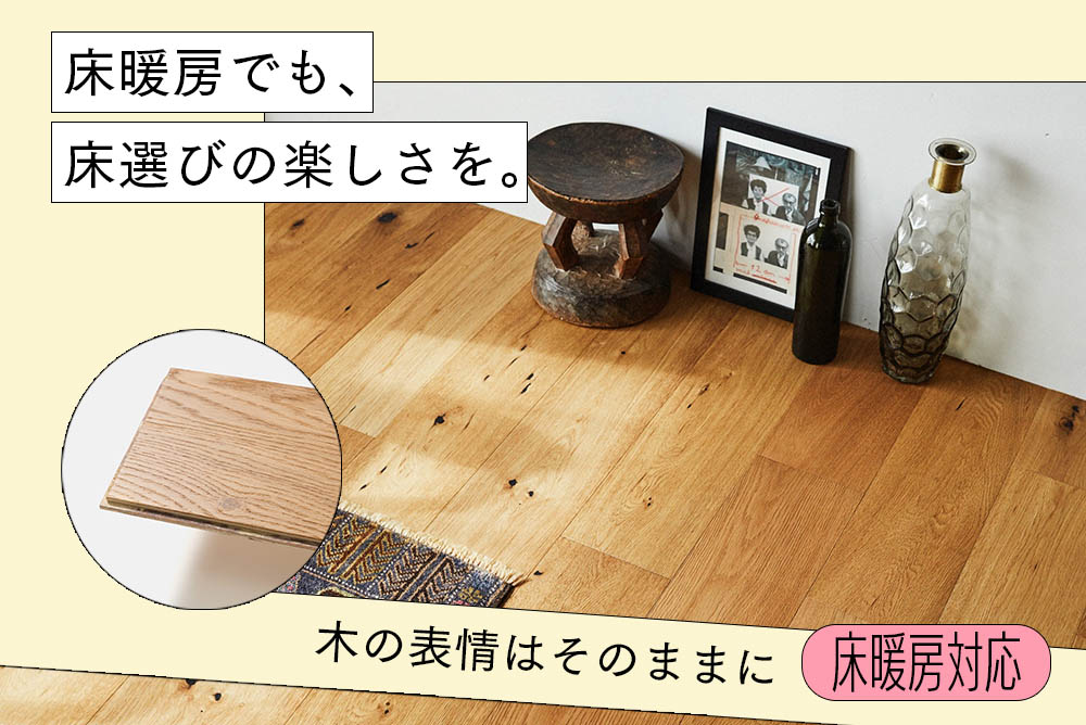 ピックアップコンテンツ