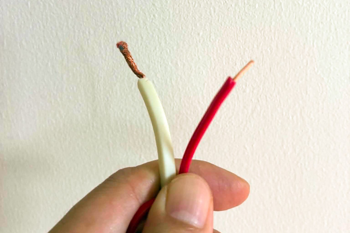 スピーカーケーブル（左）縒り線（右）単線。