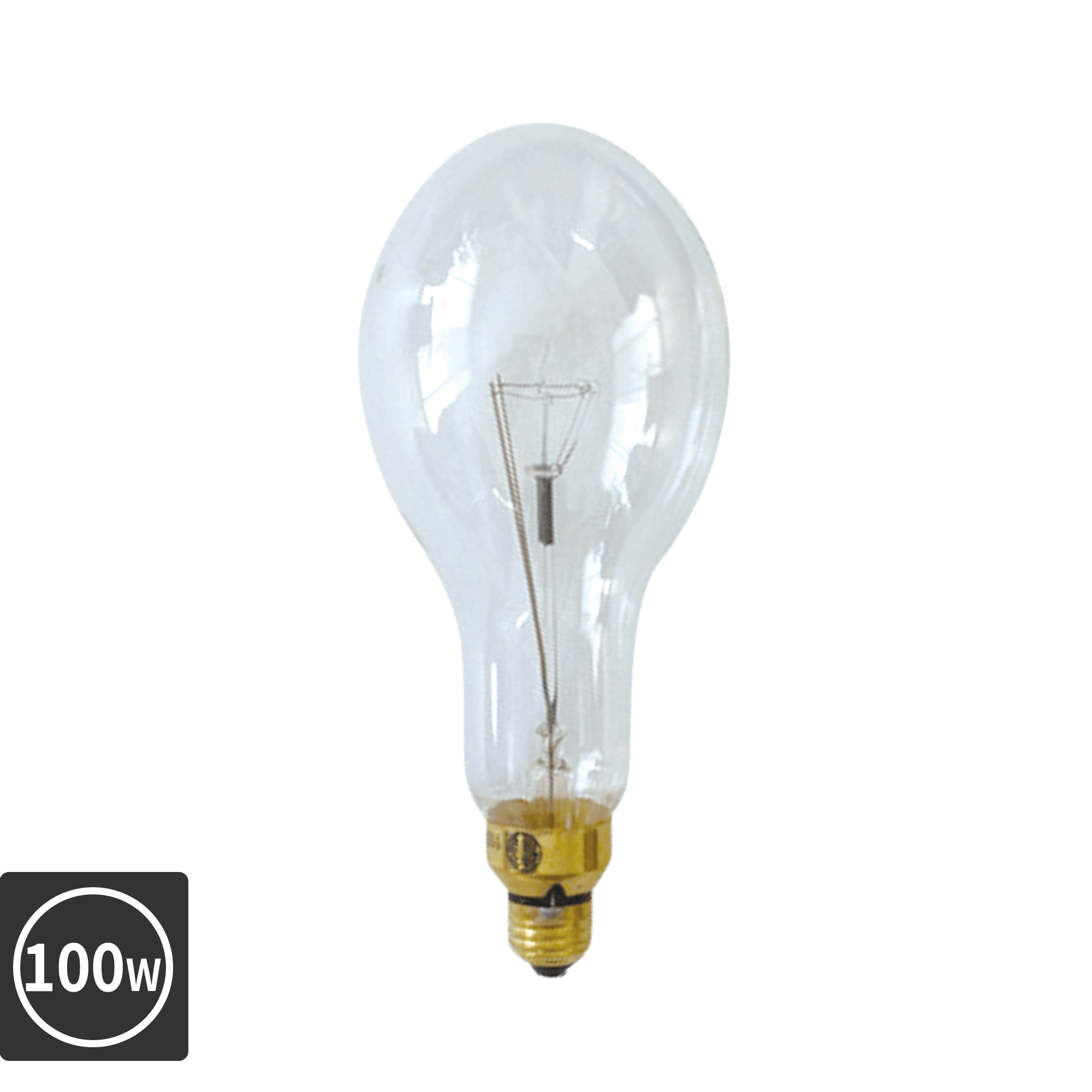 大型集魚灯電球 白熱サンマ球(E26)100W