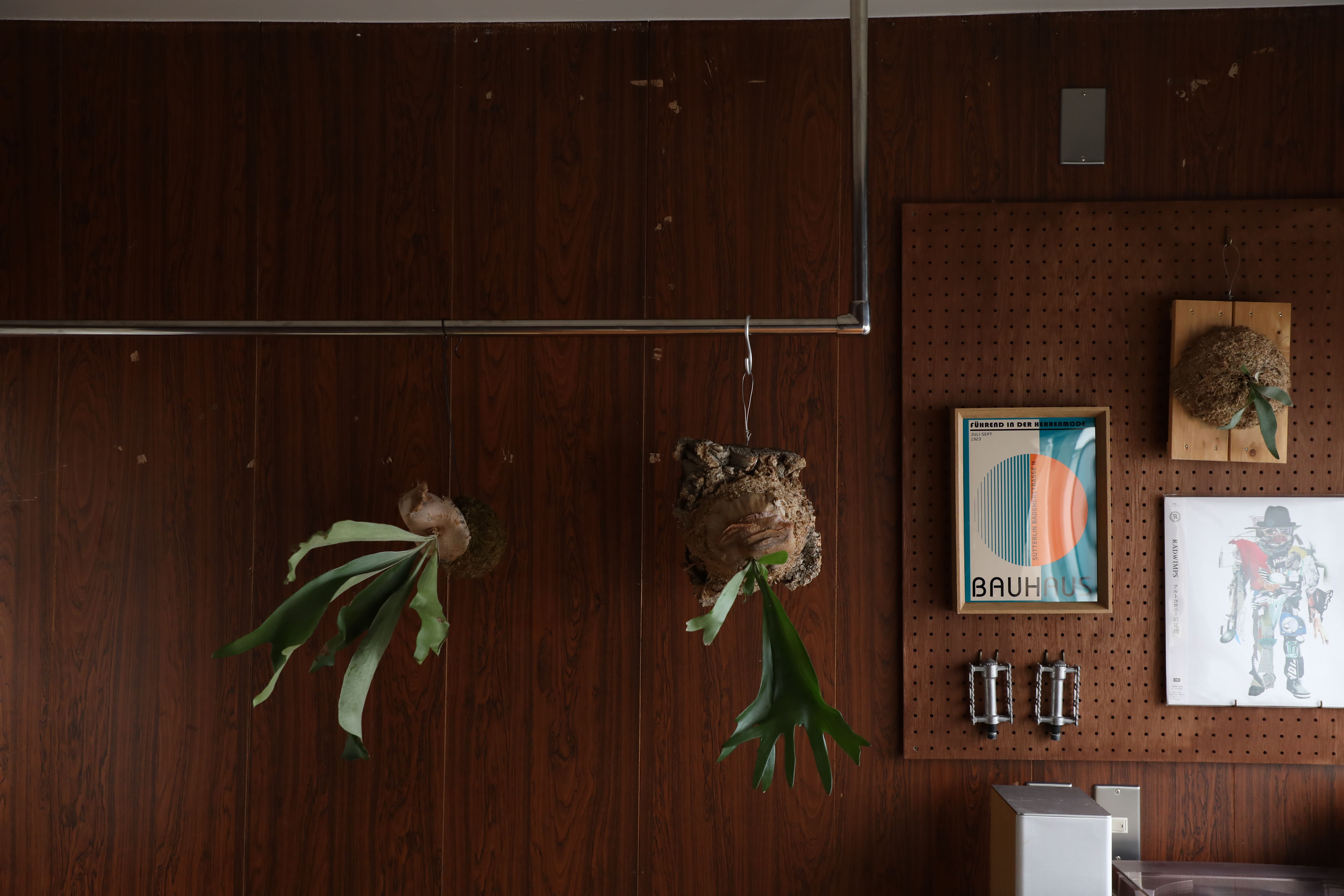 メタルハンガーライン コの​字型-天井吊セット H300 PS-HB013-52-G141