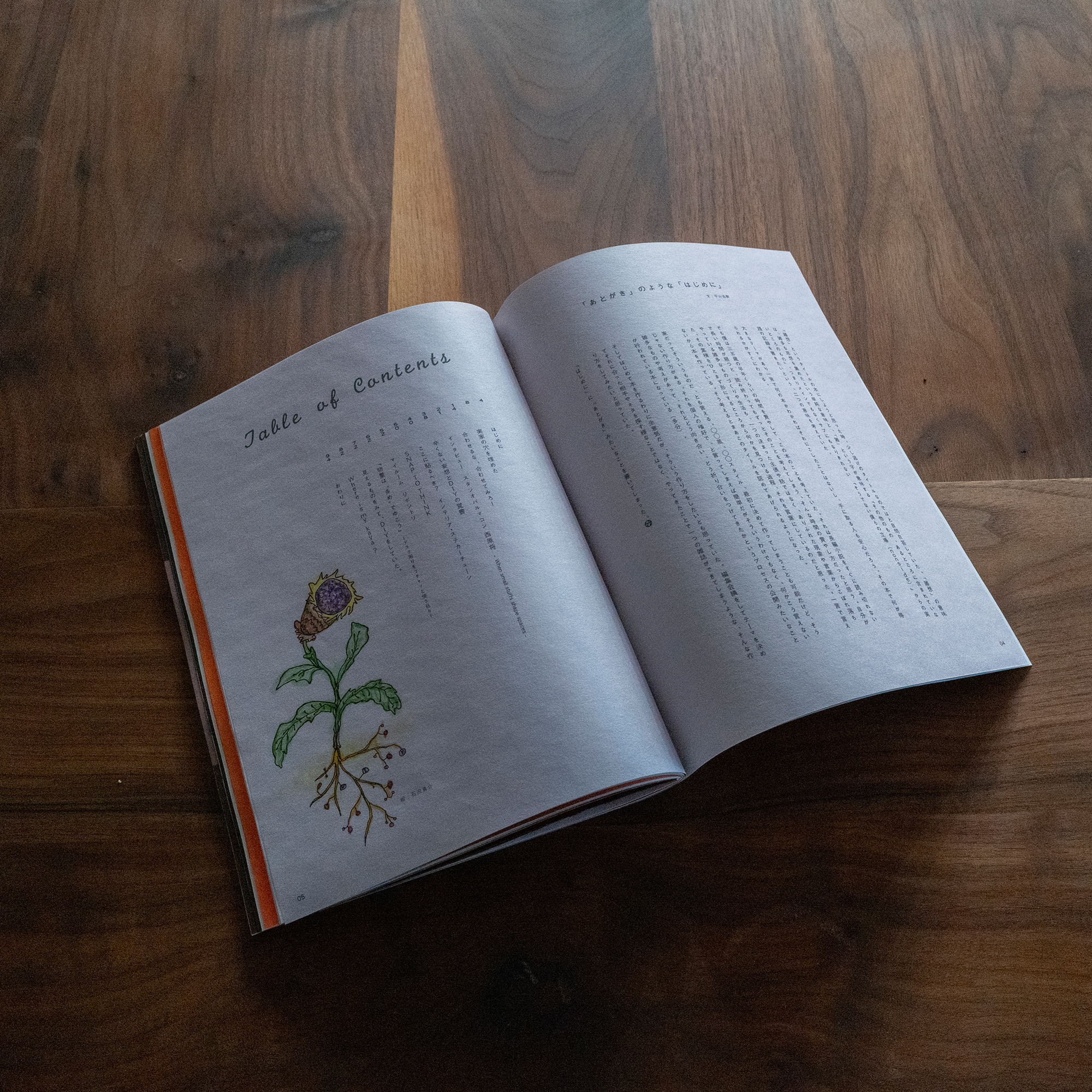 (maga)zine 雑想 DIY実践思想録 1 TB-BOOK-08W