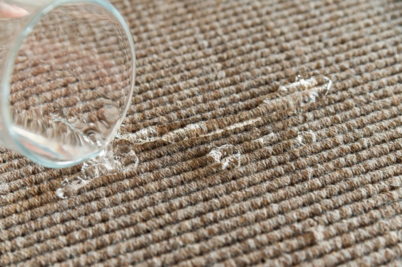 ウールカーペット グレージュ FL-OT006-02-G219 油分を含んでいるため、水を弾く。（グレージュ）